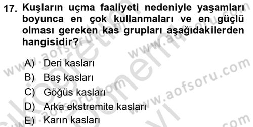 Temel Veteriner Anatomi Dersi 2023 - 2024 Yılı (Final) Dönem Sonu Sınav Soruları 17. Soru