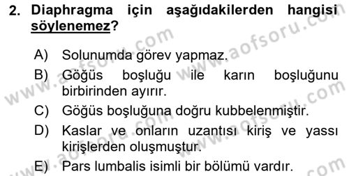 Temel Veteriner Anatomi Dersi 2023 - 2024 Yılı (Final) Dönem Sonu Sınav Soruları 2. Soru