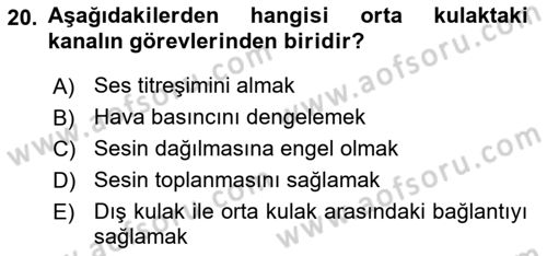 Temel Veteriner Anatomi Dersi 2023 - 2024 Yılı (Final) Dönem Sonu Sınav Soruları 20. Soru