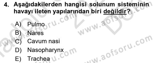 Temel Veteriner Anatomi Dersi 2023 - 2024 Yılı (Final) Dönem Sonu Sınav Soruları 4. Soru
