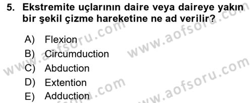 Temel Veteriner Anatomi Dersi 2023 - 2024 Yılı (Final) Dönem Sonu Sınav Soruları 5. Soru