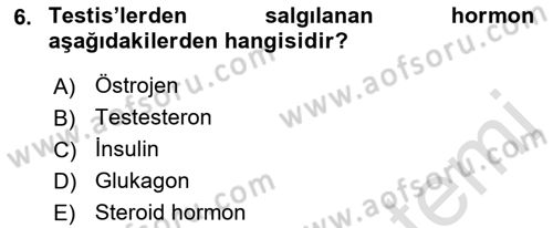 Temel Veteriner Anatomi Dersi 2023 - 2024 Yılı (Final) Dönem Sonu Sınav Soruları 6. Soru