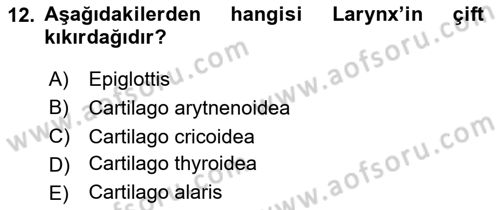 Temel Veteriner Anatomi Dersi 2023 - 2024 Yılı Yaz Okulu Sınav Soruları 12. Soru