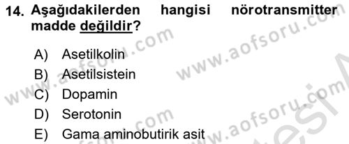Temel Veteriner Anatomi Dersi 2023 - 2024 Yılı Yaz Okulu Sınav Soruları 14. Soru