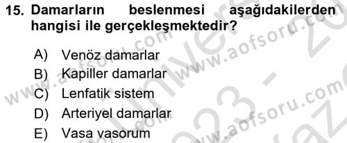 Temel Veteriner Anatomi Dersi 2023 - 2024 Yılı Yaz Okulu Sınav Soruları 15. Soru