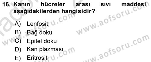 Temel Veteriner Anatomi Dersi 2023 - 2024 Yılı Yaz Okulu Sınav Soruları 16. Soru
