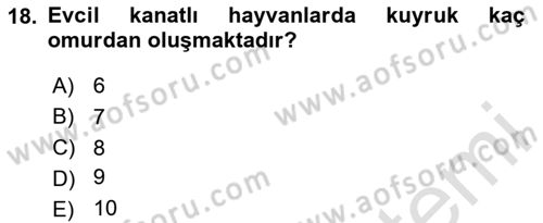 Temel Veteriner Anatomi Dersi 2023 - 2024 Yılı Yaz Okulu Sınav Soruları 18. Soru