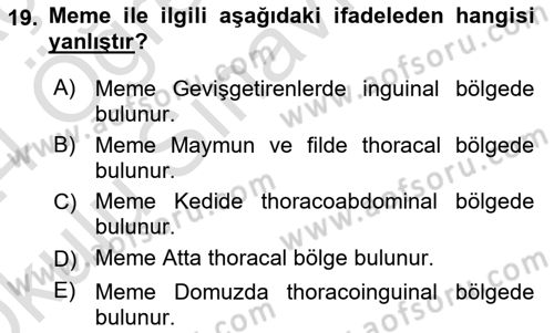 Temel Veteriner Anatomi Dersi 2023 - 2024 Yılı Yaz Okulu Sınav Soruları 19. Soru
