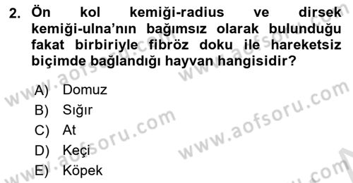 Temel Veteriner Anatomi Dersi 2023 - 2024 Yılı Yaz Okulu Sınav Soruları 2. Soru