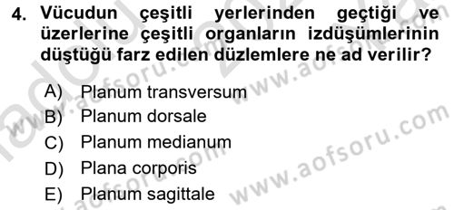 Temel Veteriner Anatomi Dersi 2023 - 2024 Yılı Yaz Okulu Sınav Soruları 4. Soru