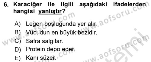 Temel Veteriner Anatomi Dersi 2023 - 2024 Yılı Yaz Okulu Sınav Soruları 6. Soru