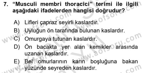 Temel Veteriner Anatomi Dersi 2023 - 2024 Yılı Yaz Okulu Sınav Soruları 7. Soru
