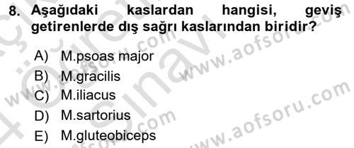 Temel Veteriner Anatomi Dersi 2023 - 2024 Yılı Yaz Okulu Sınav Soruları 8. Soru