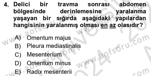 Temel Veteriner Anatomi Dersi 2024 - 2025 Yılı (Vize) Ara Sınav Soruları 4. Soru