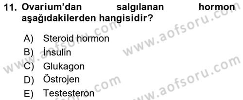 Temel Veteriner Anatomi Dersi 2024 - 2025 Yılı (Final) Dönem Sonu Sınav Soruları 11. Soru