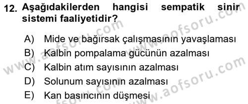 Temel Veteriner Anatomi Dersi 2024 - 2025 Yılı (Final) Dönem Sonu Sınav Soruları 12. Soru
