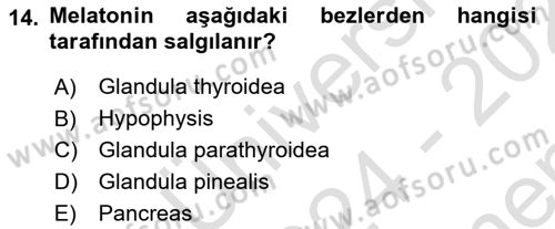 Temel Veteriner Anatomi Dersi 2024 - 2025 Yılı (Final) Dönem Sonu Sınav Soruları 14. Soru