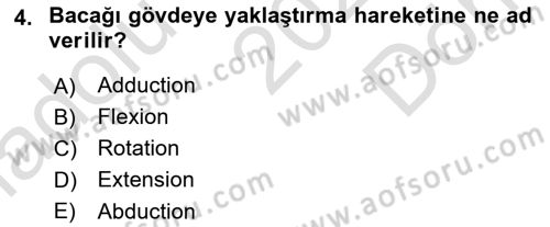 Temel Veteriner Anatomi Dersi 2024 - 2025 Yılı (Final) Dönem Sonu Sınav Soruları 4. Soru