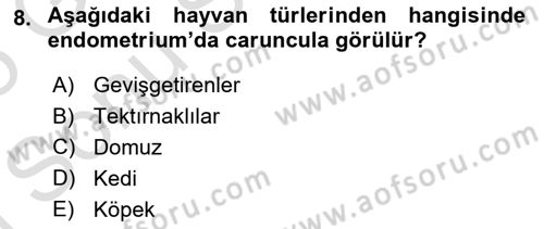 Temel Veteriner Anatomi Dersi 2024 - 2025 Yılı (Final) Dönem Sonu Sınav Soruları 8. Soru