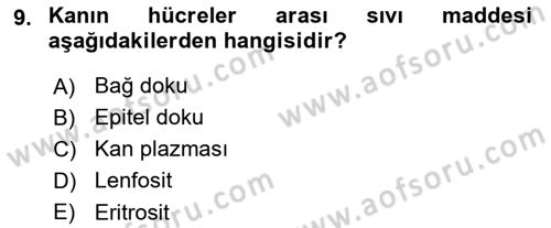 Temel Veteriner Anatomi Dersi 2024 - 2025 Yılı (Final) Dönem Sonu Sınav Soruları 9. Soru