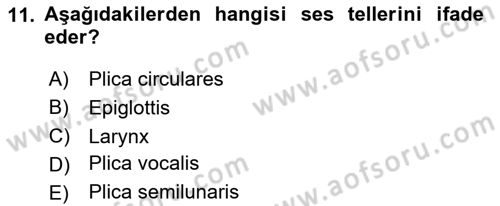 Temel Veteriner Anatomi Dersi 2024 - 2025 Yılı Yaz Okulu Sınav Soruları 11. Soru
