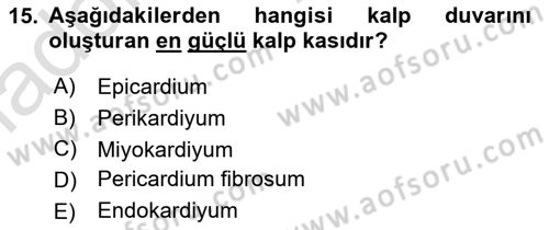 Temel Veteriner Anatomi Dersi 2024 - 2025 Yılı Yaz Okulu Sınav Soruları 15. Soru
