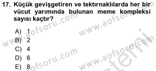 Temel Veteriner Anatomi Dersi 2024 - 2025 Yılı Yaz Okulu Sınav Soruları 17. Soru