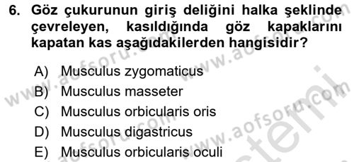 Temel Veteriner Anatomi Dersi 2024 - 2025 Yılı Yaz Okulu Sınav Soruları 6. Soru