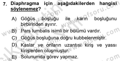 Temel Veteriner Anatomi Dersi 2024 - 2025 Yılı Yaz Okulu Sınav Soruları 7. Soru
