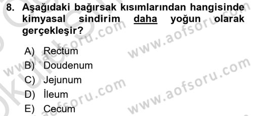 Temel Veteriner Anatomi Dersi 2024 - 2025 Yılı Yaz Okulu Sınav Soruları 8. Soru