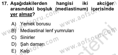 Temel Veteriner Anatomi Dersi 2025 - 2026 Yılı (Vize) Ara Sınav Soruları 17. Soru