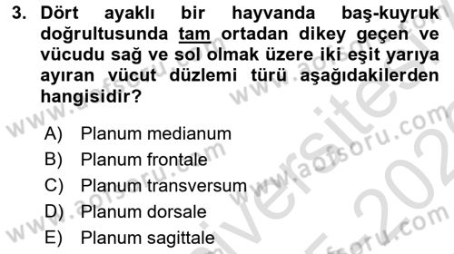 Temel Veteriner Anatomi Dersi 2025 - 2026 Yılı (Vize) Ara Sınav Soruları 3. Soru
