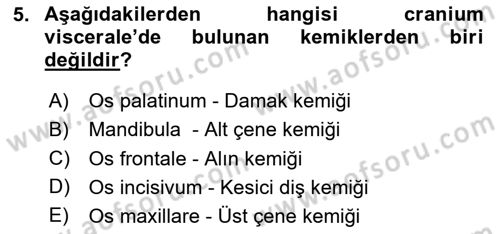 Temel Veteriner Anatomi Dersi 2025 - 2026 Yılı (Vize) Ara Sınav Soruları 5. Soru