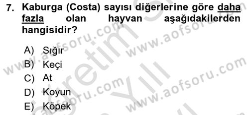 Temel Veteriner Anatomi Dersi 2025 - 2026 Yılı (Vize) Ara Sınav Soruları 7. Soru