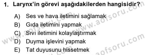 Temel Veteriner Anatomi Dersi 2025 - 2026 Yılı (Final) Dönem Sonu Sınav Soruları 1. Soru