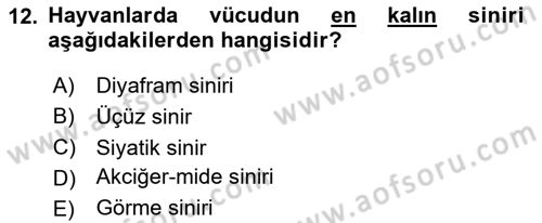 Temel Veteriner Anatomi Dersi 2025 - 2026 Yılı (Final) Dönem Sonu Sınav Soruları 12. Soru