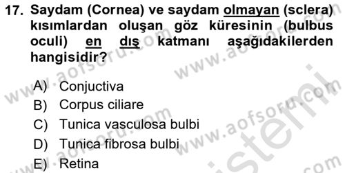 Temel Veteriner Anatomi Dersi 2025 - 2026 Yılı (Final) Dönem Sonu Sınav Soruları 17. Soru