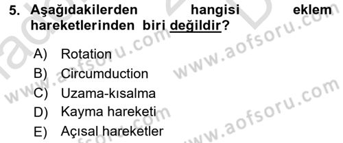 Temel Veteriner Anatomi Dersi 2025 - 2026 Yılı (Final) Dönem Sonu Sınav Soruları 5. Soru