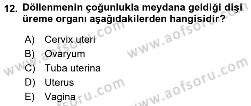 Temel Veteriner Anatomi Dersi 2025 - 2026 Yılı Yaz Okulu Sınav Soruları 12. Soru