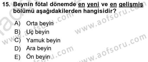 Temel Veteriner Anatomi Dersi 2025 - 2026 Yılı Yaz Okulu Sınav Soruları 15. Soru