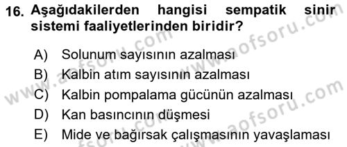 Temel Veteriner Anatomi Dersi 2025 - 2026 Yılı Yaz Okulu Sınav Soruları 16. Soru