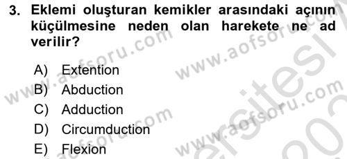 Temel Veteriner Anatomi Dersi 2025 - 2026 Yılı Yaz Okulu Sınav Soruları 3. Soru