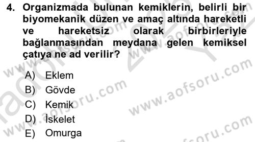 Temel Veteriner Anatomi Dersi 2025 - 2026 Yılı Yaz Okulu Sınav Soruları 4. Soru