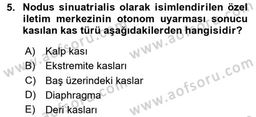 Temel Veteriner Anatomi Dersi 2025 - 2026 Yılı Yaz Okulu Sınav Soruları 5. Soru