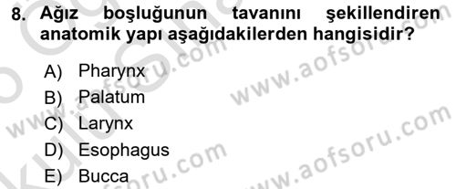 Temel Veteriner Anatomi Dersi 2025 - 2026 Yılı Yaz Okulu Sınav Soruları 8. Soru