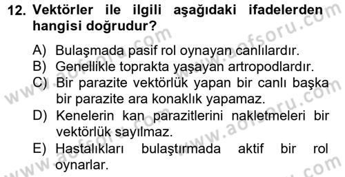 Temel Veteriner Parazitoloji Dersi 2012 - 2013 Yılı (Vize) Ara Sınav Soruları 12. Soru