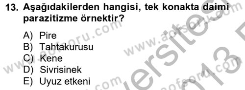 Temel Veteriner Parazitoloji Dersi 2012 - 2013 Yılı (Vize) Ara Sınav Soruları 13. Soru