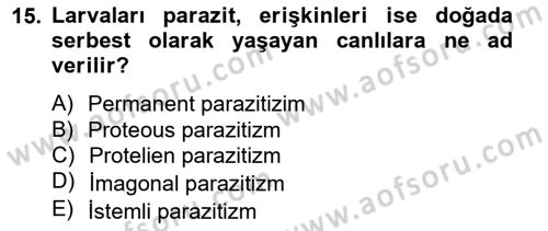 Temel Veteriner Parazitoloji Dersi 2012 - 2013 Yılı (Vize) Ara Sınav Soruları 15. Soru