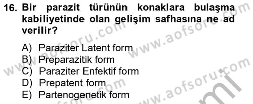 Temel Veteriner Parazitoloji Dersi 2012 - 2013 Yılı (Vize) Ara Sınav Soruları 16. Soru