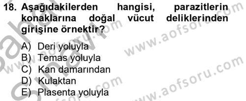Temel Veteriner Parazitoloji Dersi 2012 - 2013 Yılı (Vize) Ara Sınav Soruları 18. Soru